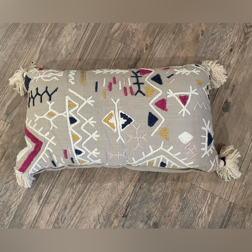 HomeGoods made in India collection throw pillow- barely used!!!